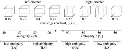 Combining Statistical Analysis and Machine Learning for EEG Scalp Topograms Classification